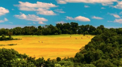 (Des)necessidade de Cadastro Ambiental Rural (CAR) para empreendimentos hidrelétricos